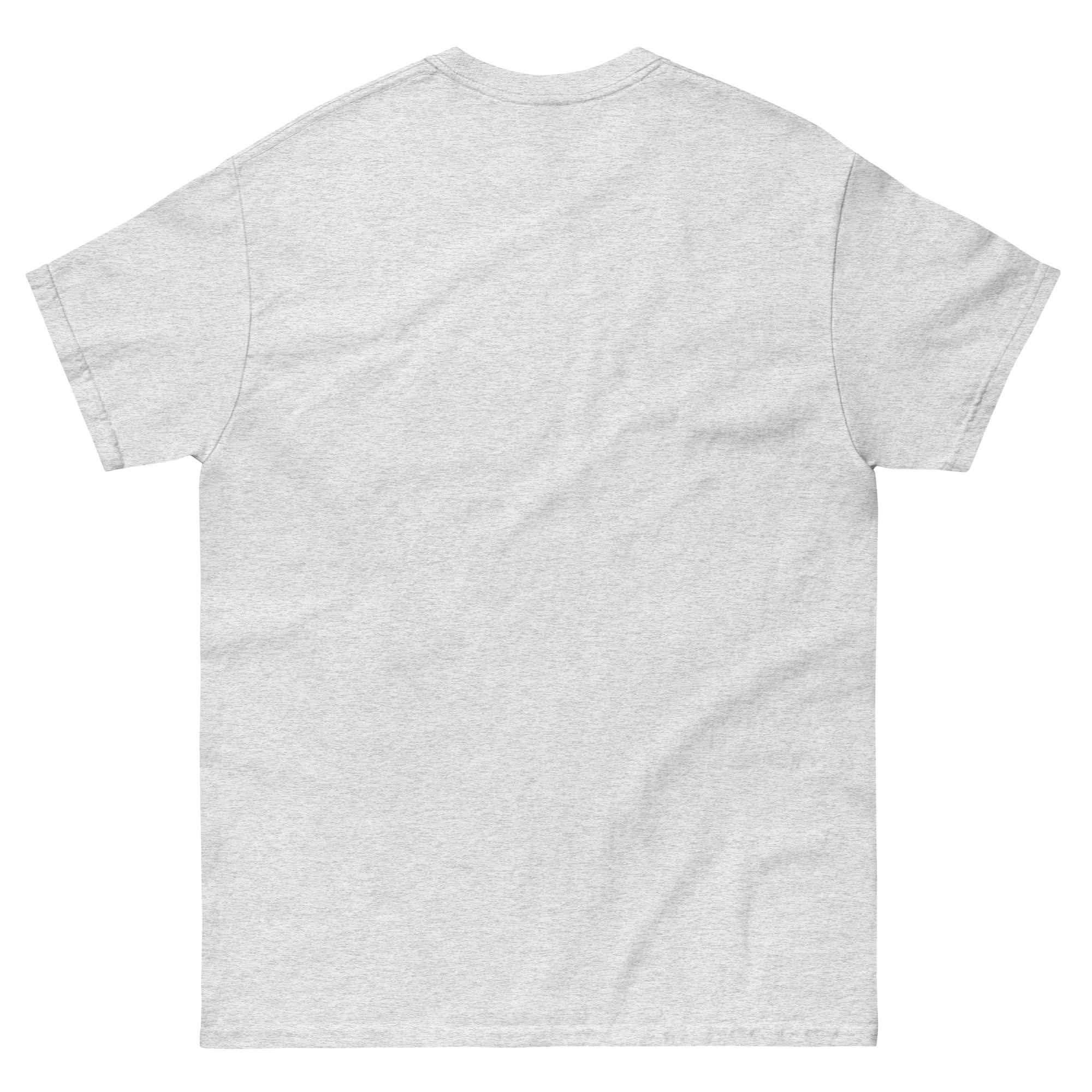 unisex-classic-tee-ash-back-66d5dc05c34e5.jpg