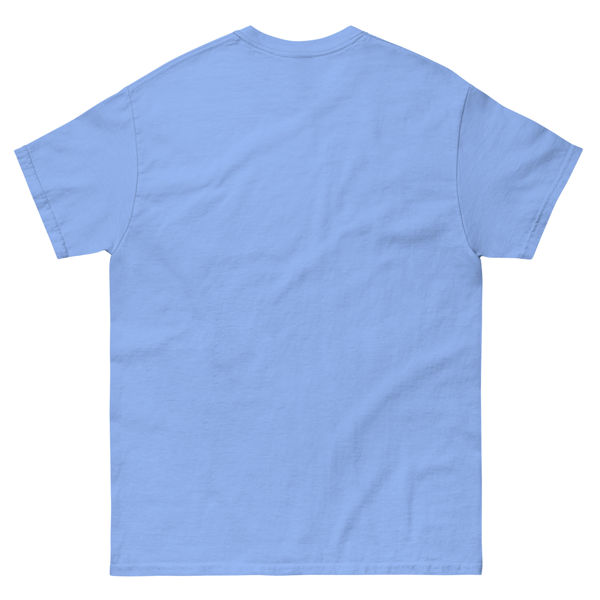 unisex-classic-tee-carolina-blue-back-66d5dc0563d70.jpg
