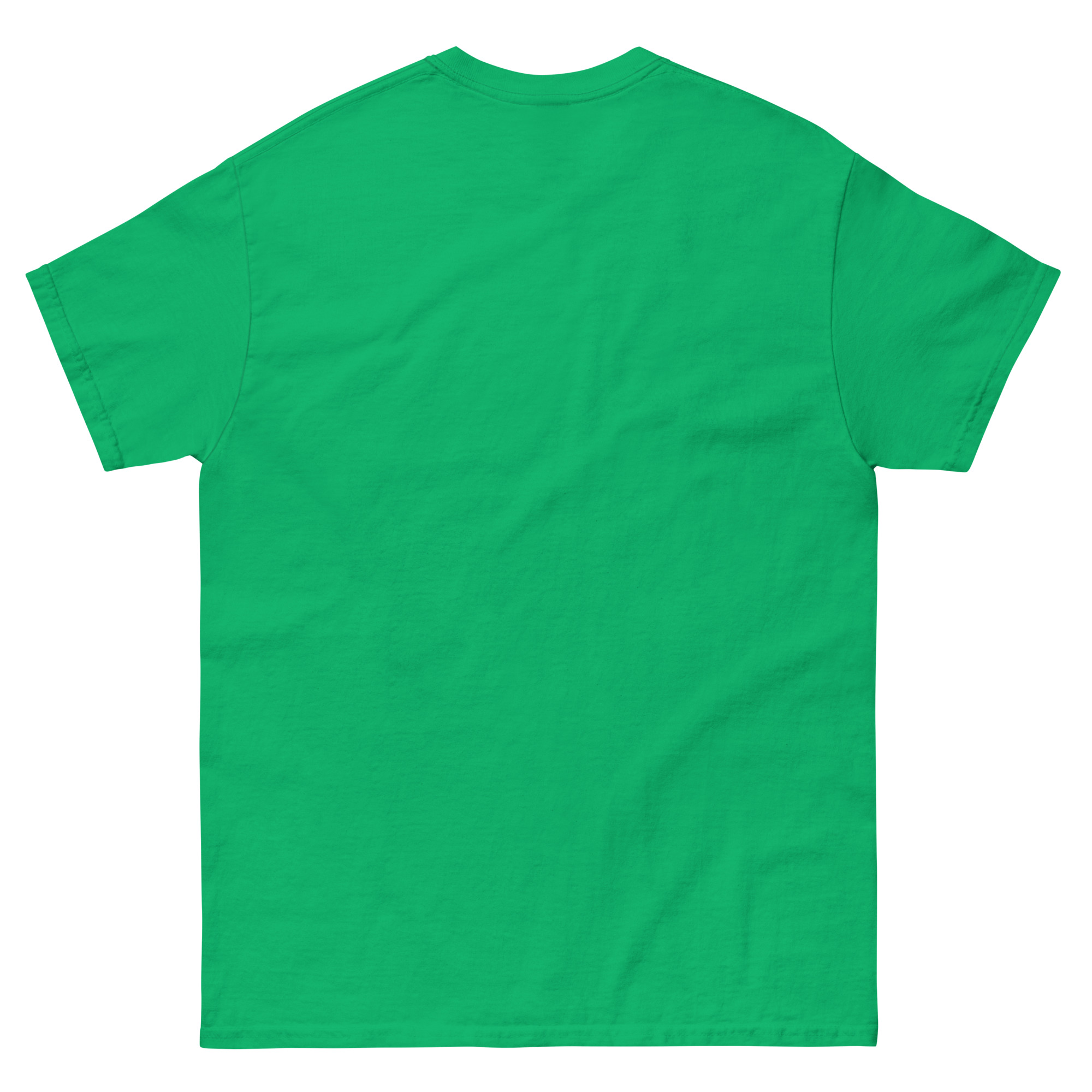 unisex-classic-tee-irish-green-back-66df80f6c2c5b.jpg