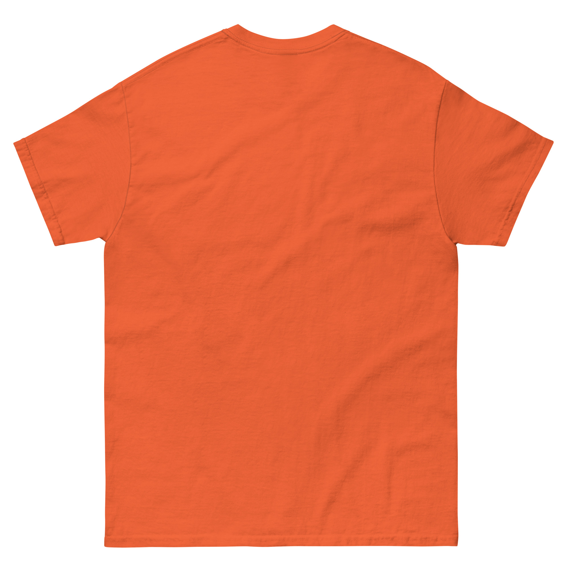 unisex-classic-tee-orange-back-66d5dc051a015.jpg