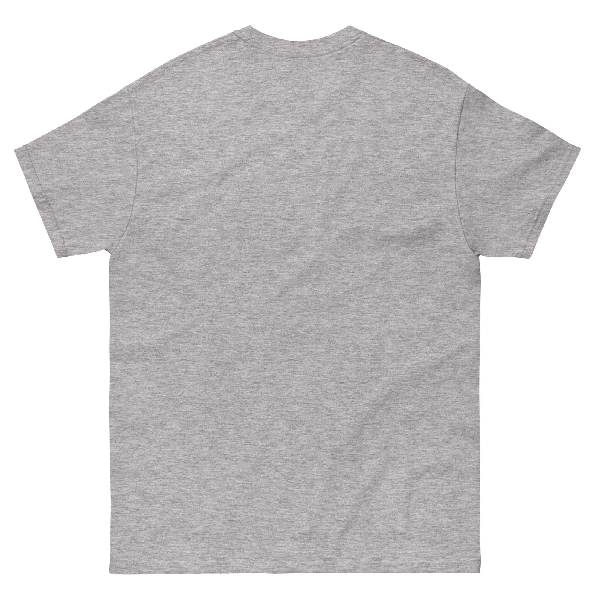 unisex-classic-tee-sport-grey-back-66d5dc0585028.jpg