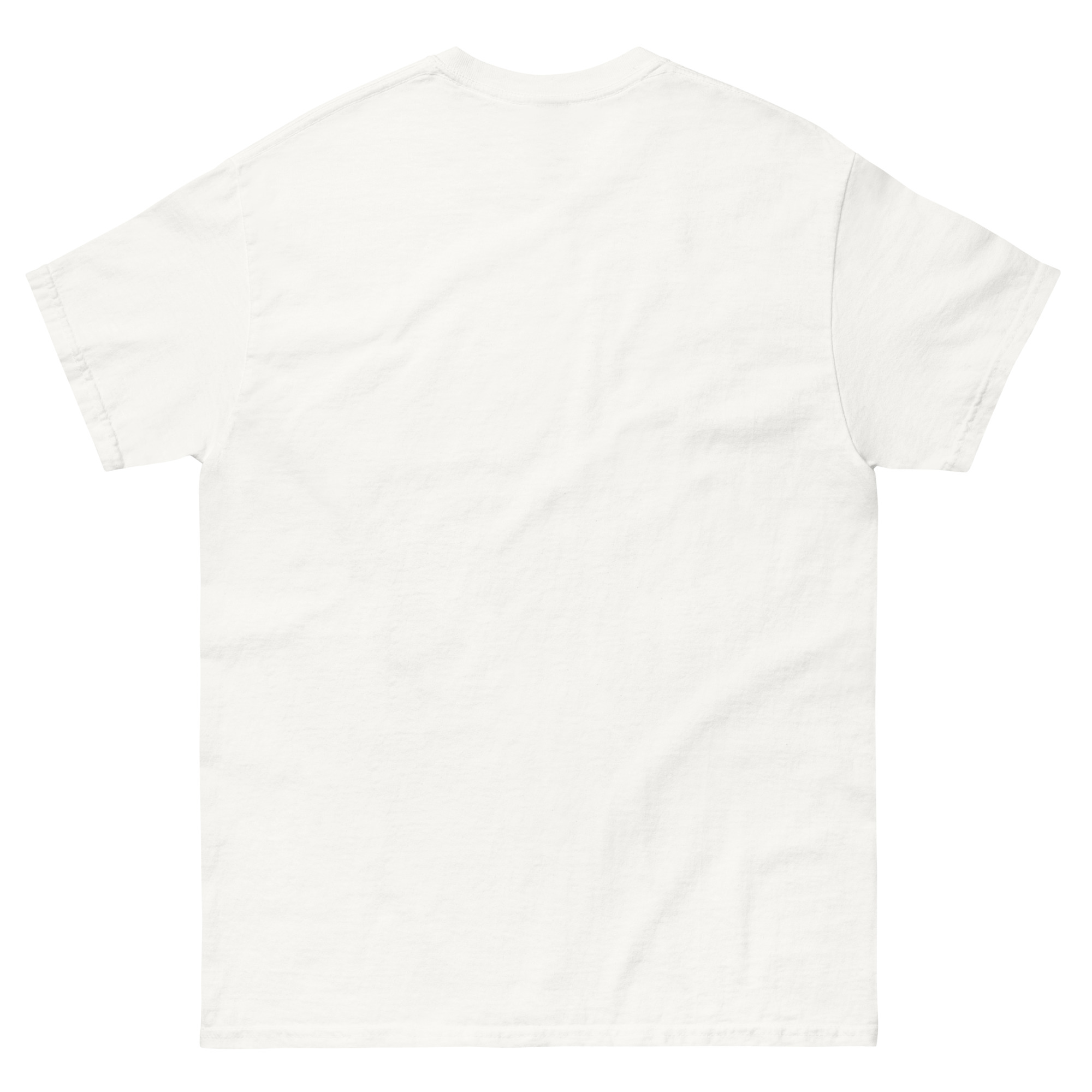 unisex-classic-tee-white-back-66d5dc05ea6f3.jpg