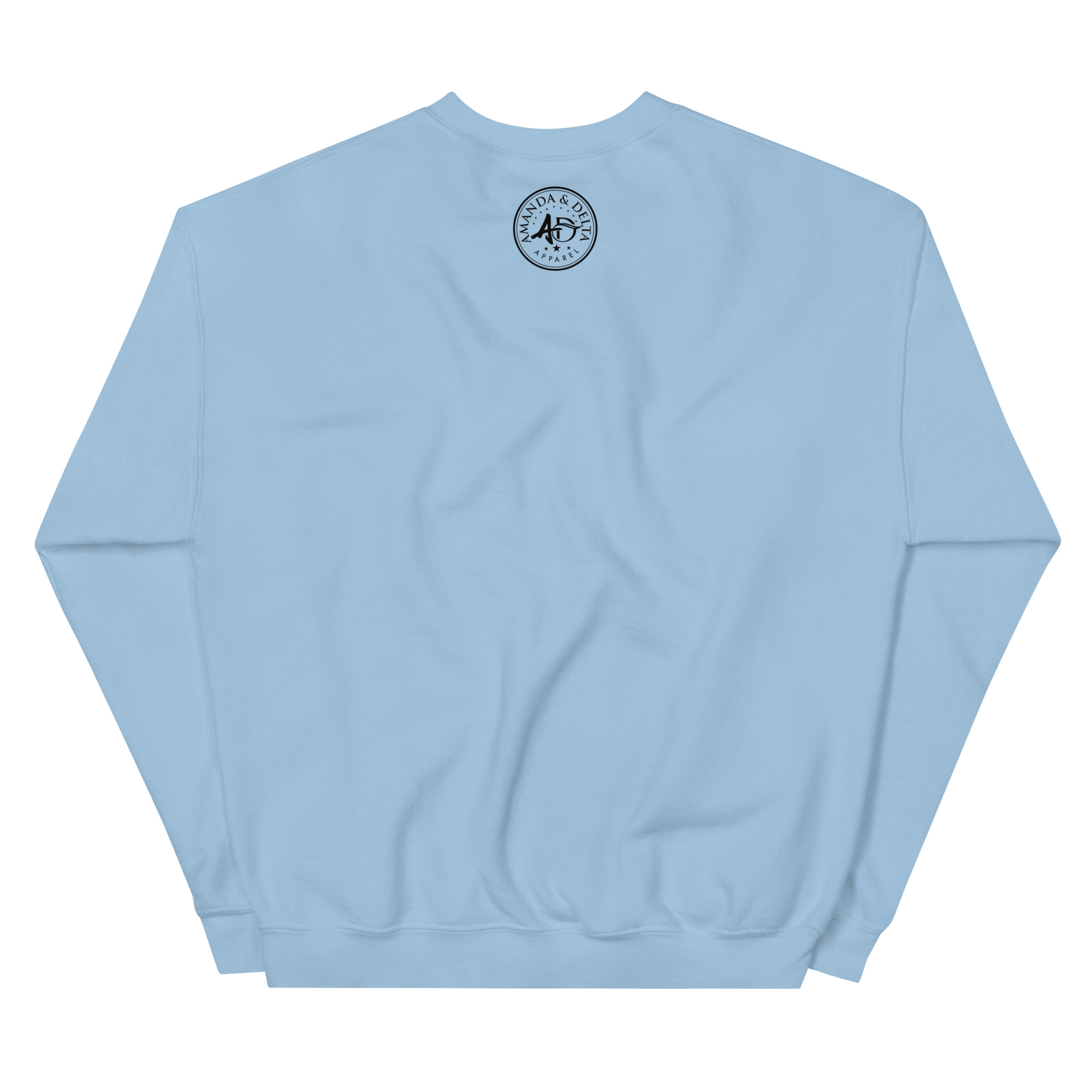 unisex-crew-neck-sweatshirt-light-blue-back-673292cb0d96b.jpg